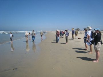 On Day 2, we made it to Silver Strand Beach in San Diego.