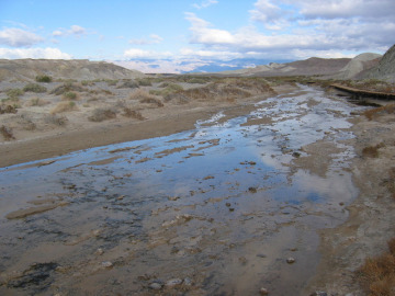 Day 4. Salt Creek at Death Valley, which featured flowing water and desert pupfish.
