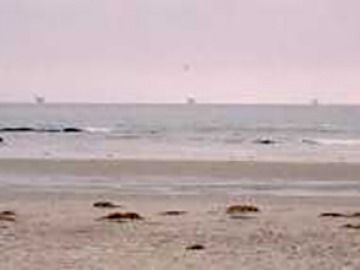 Oil rigs line up along the fold axis of the petroleum deposit off Carpenteria State Beach.