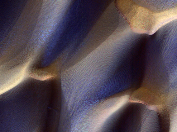 Dunes in Late Fall: Frost in the Ripples