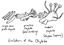 Evolution of Chybite