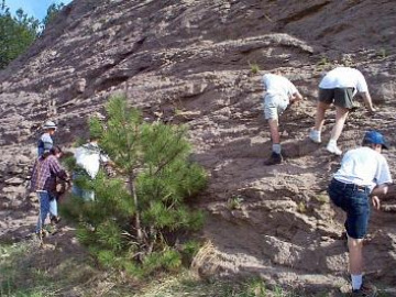 We stopped at the La Cueva ash flows.