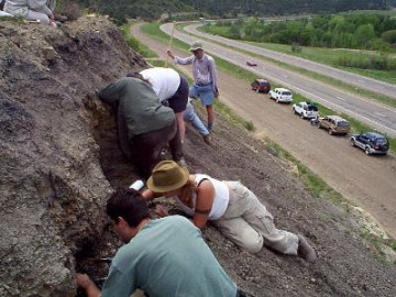 Once we had our ledge, and had figured out what we were after, those that were interested, took some samples.