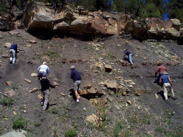 The second outcrop that day was a little more of an uphill scramble, but the K/T layer there was a great exposure.