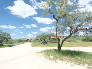 A idyllic scene with fluffy clouds dotting a blue sky. A sign reads "Horseback Adventures". Image by Harry Tang