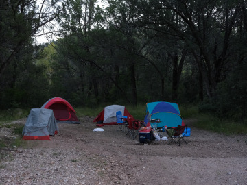 Student tents setup in a clearing in the forest. Image by Harry Tang