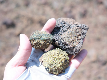 A student holds basalt rocks and xenolithic crystals found on hikes. One rock has a bubbly black texture and another is covered in small, bright green crystals. Image by Harry Tang