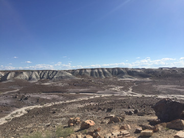 Petrified Forest