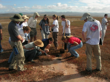 Day 3. Near Laguna Figueroa, we attempt to look for some algal mats in the gunk.