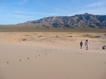 Exploring the Amboy Dune fields south of the park