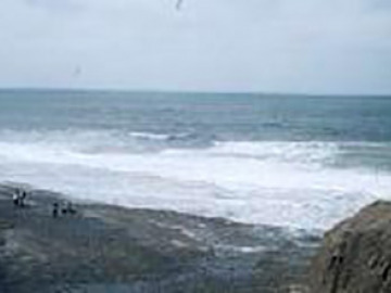 We traveled as far south as San Antonio del Mar, a coastal area south of Ensenada. We had GPS coordinates of the stops courtesy of the CalTech field trip group, and tried to follow them, but shortly before sunset we traveled over a boggy area and two vans got stuck in the mud.  The next day, we explored the beach for gastropods and ammonites, and the K/T boundary between them.