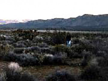 We spent a beautiful night in Anza Borrego State Park, CA, where we discussed the tectonic history of the Baja peninsula.