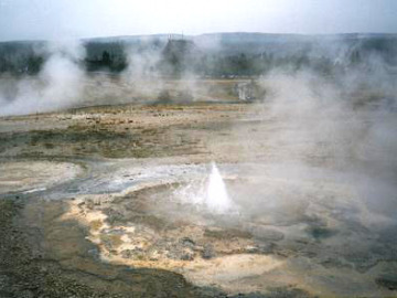 Echinus Geyser is a small geyser in a pool where the sinter is encroaching in a spiky pattern. It erupts about every 5 minutes like a small fountain.