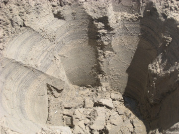 We dug some pits in the sand to examine layers of heavy metal laminae.