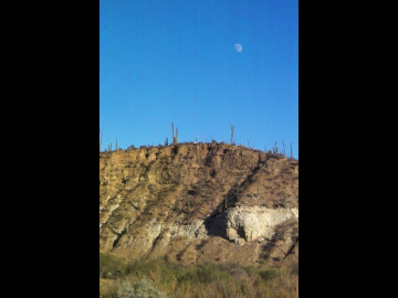 At Canon San Fernando, we explored deposits that are theorized to have been caused by landslides and/or distal ejecta from the K/T Impact Event. This is volcanic tuff that was used to date these deposits. 