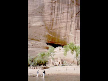 The White House ruin, built into the cliff face at Canyon de Chelly.
