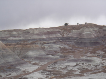 The Chinle Formation, which is a series of layers deposited by a prehistoric river system.