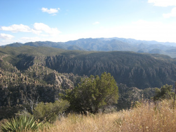 Turkey Creek Caldera