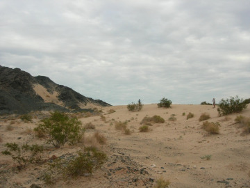 Day 1. Climbing dunes near San Felipe