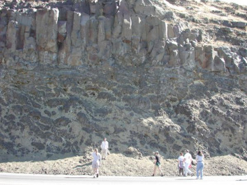 Arriving at The Dalles, we saw a great exposure of pillow basalts, interpreted for us by Laz