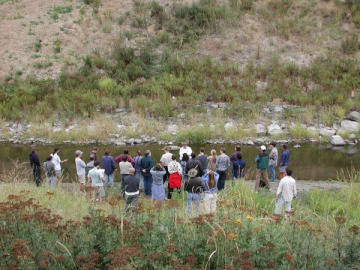 Day 7. On the last day we stopped at Hangman Creek to look at the sediments.