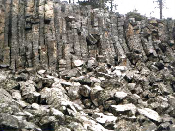 Even though Thursday morning dawned grey and drizzly, we got up bright and early for a short hike to see columnar jointing and an outcrop that was evidence of the bimodal magmatism in the park area. Columnar jointing caused by cooling cracks in a basaltic flow.