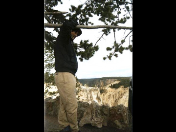 Chris contemplates the scene while hanging from a tree.