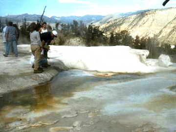 Atop an active terrace at Upper Mammoth, we checked out steaming pools close-up.