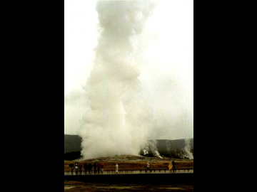 Old Faithful is a periodic geyser, meaning it erupts on a more-or-less predictable schedule. The time between eruptions is determined by the discharge volume and length of the previous eruptions.
