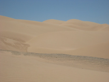 We stopped at the Imperial Dunes along the AZ/CA border to talk about the dunes and the aeolian processes that form them.