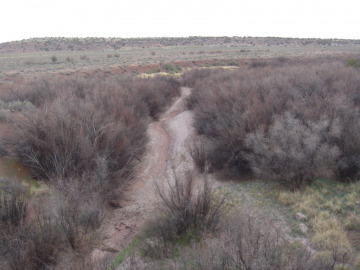 The Little Colorado River.