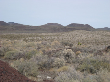 Cima Volcanic Field.