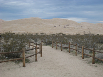 Kelso Dune Field