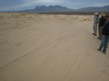 Examining some spectacular cross-bedding at the dune field.