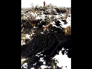 We thought the white snow against the black lava was a stunning study in contrasts. The ropy pahoehoe texture of the flow, with Laszlo on top.