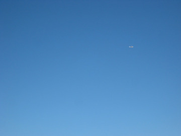 Rick Greenberg flew overhead and kindly snapped some aerial photos as we were inspecting the polygons, in order to compare what is seen from remote sensing with what is seen from the ground.