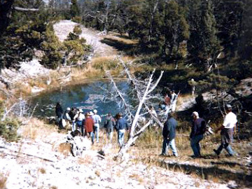 We took a short walk over a hill and found a small pool of water, with a well-developed bacterial mat community growing in it.