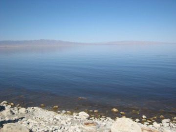 The Salton Sea