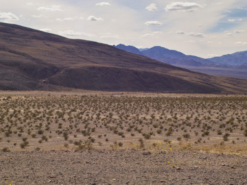 We entered the park from the south, and saw Shoreline Butte, which recorded the edge of Lake Manly, a pre-historic lake from the last glaciation.