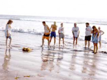 This is Silver Strand Beach in San Diego, as we prepared to kill all marine life with potentially carcinogenic Rhodamine-G dye tracer.