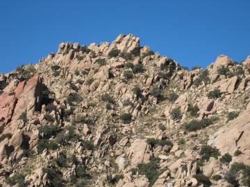 Our first stop was at Texas Canyon, not too far east of Tucson. Here we discussed the many examples of spheroidal weathering easily seen from the highway.