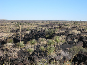 After a bitterly cold and windy night camping, we ventured out onto the Carrizozo lava flow, and discussed what made this particular flow long and thin.
