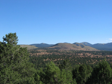 Day 2. Springerville Volcanic Field