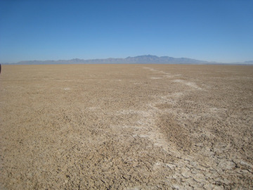 Willcox Playa, SE Arizona, with an old dessication crack.