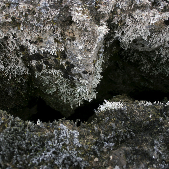 A crack in the Laki lava flow.