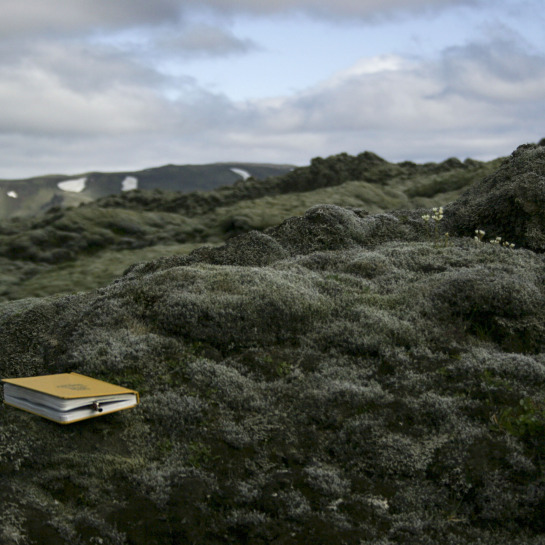 A field book sitting on the vast moss in Laki. Participants recorded their findings from the field into these waterproof books.