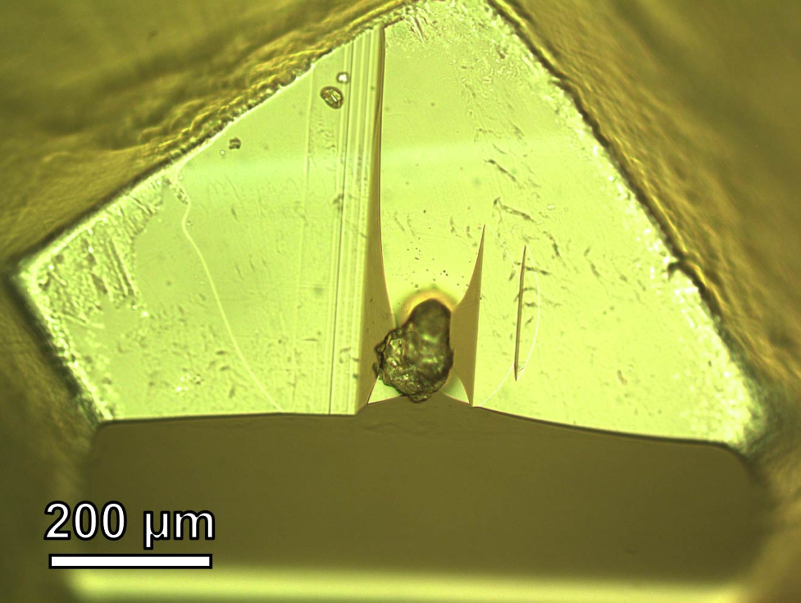In the lab, Che and Zega embedded the dust particle from asteroid Itokawa in epoxy resin to prepare it for thin sectioning. The scale indicates 200 micrometers, about the width of two or three human hairs placed side by side.