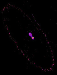 Pluto_Charon