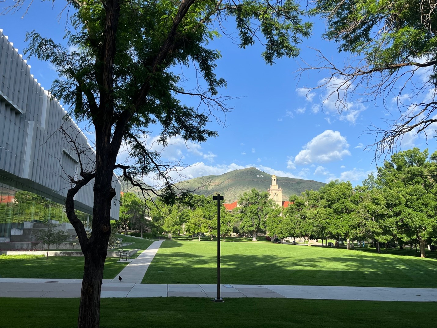 Photo Looking toward the Colorado School of Mines clocktower across their new geophysical testing field at the Kafadar Commons.