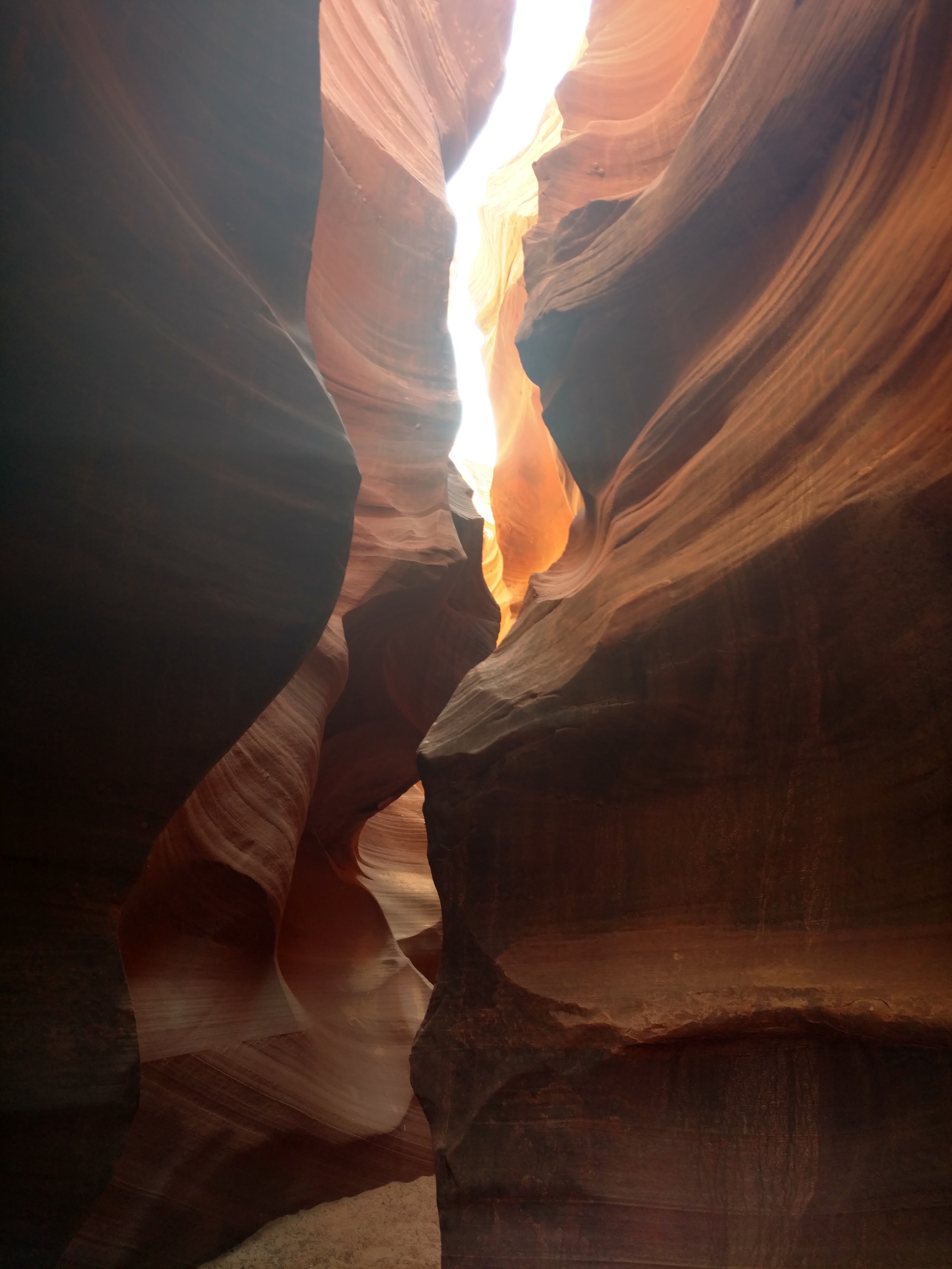 Photo of Water Holes Canyon trail